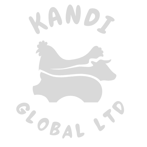 Kandi Global Ltd